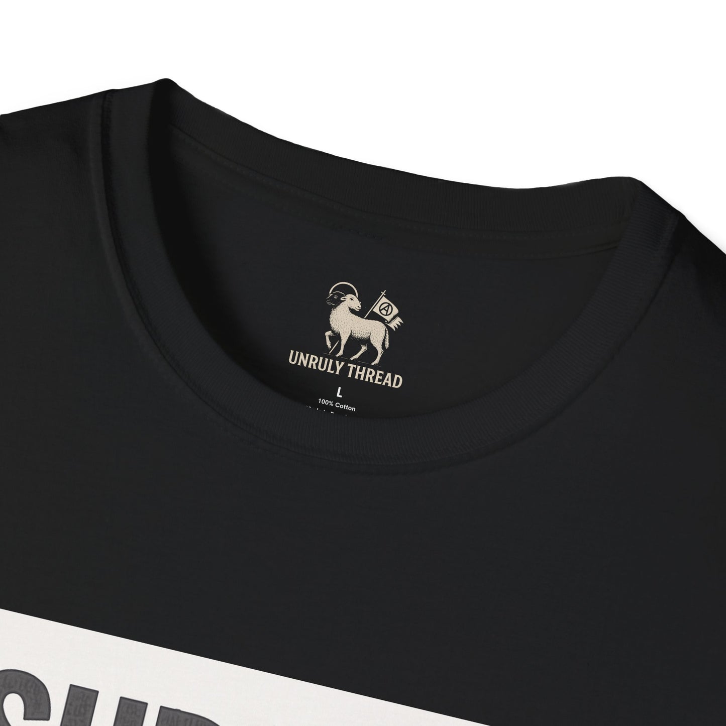 I Support 24/7 Music Festivals | Unisex Softstyle Shirt