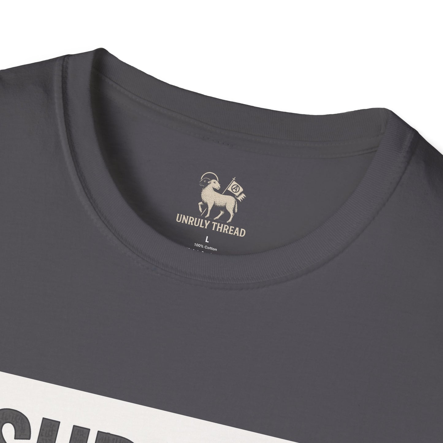 I Support 24/7 Music Festivals | Unisex Softstyle Shirt