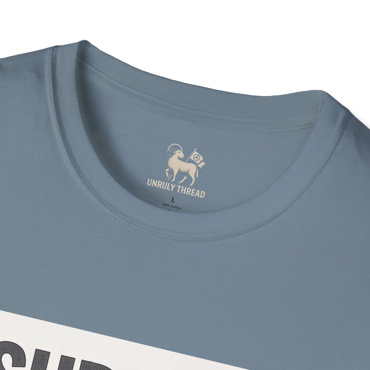 I Support 24/7 Music Festivals | Unisex Softstyle Shirt