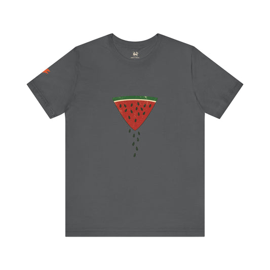 Watermelon Wedge / Falling Seeds | Distressed Print Tee