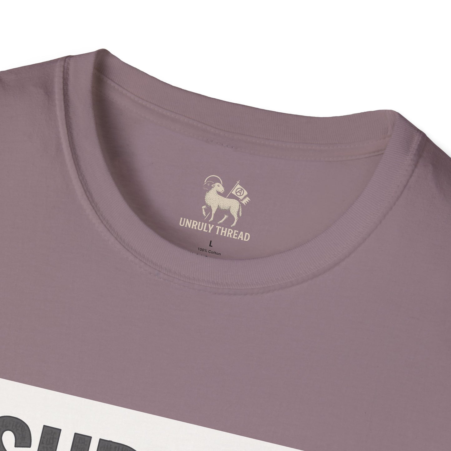 I Support 24/7 Music Festivals | Unisex Softstyle Shirt