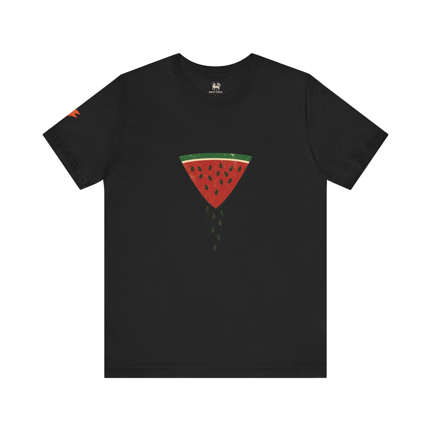 Watermelon Wedge / Falling Seeds | Distressed Print Tee