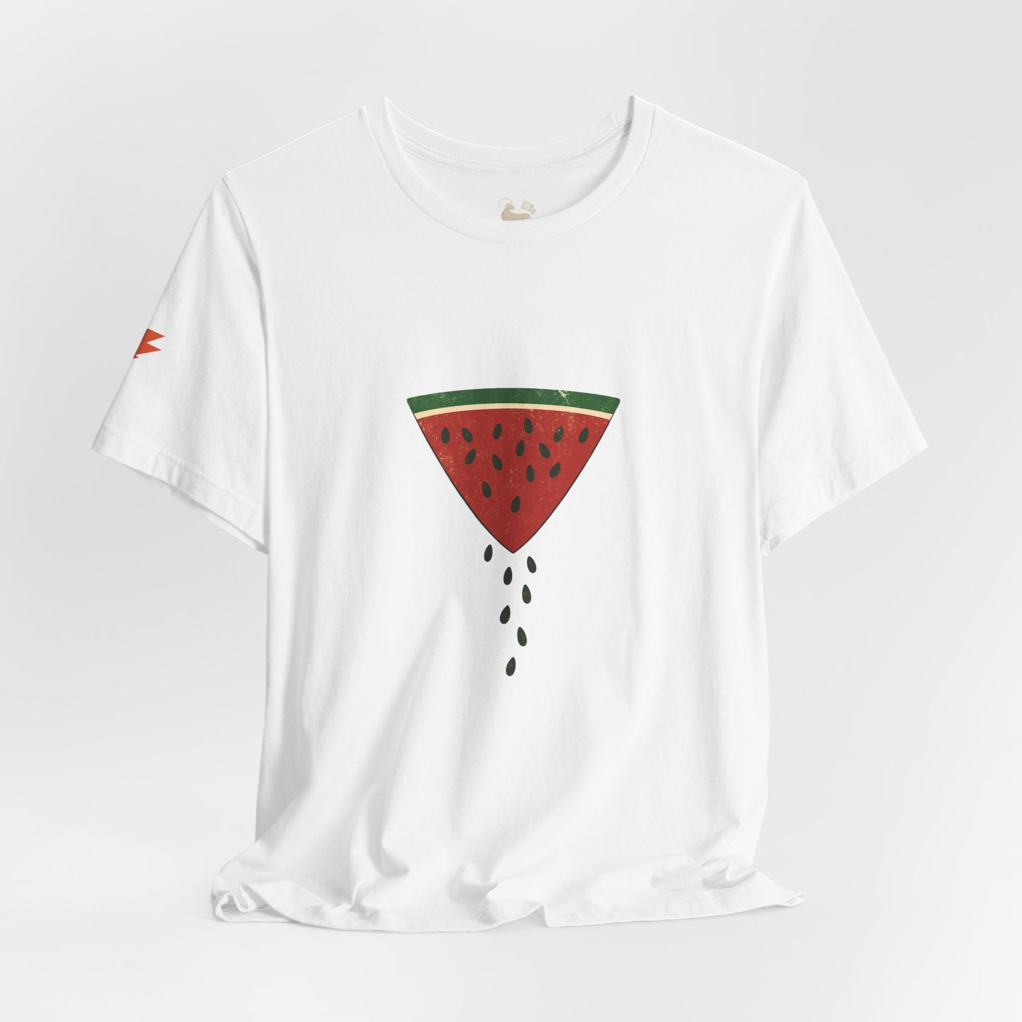 Watermelon Wedge / Falling Seeds | Distressed Print Tee