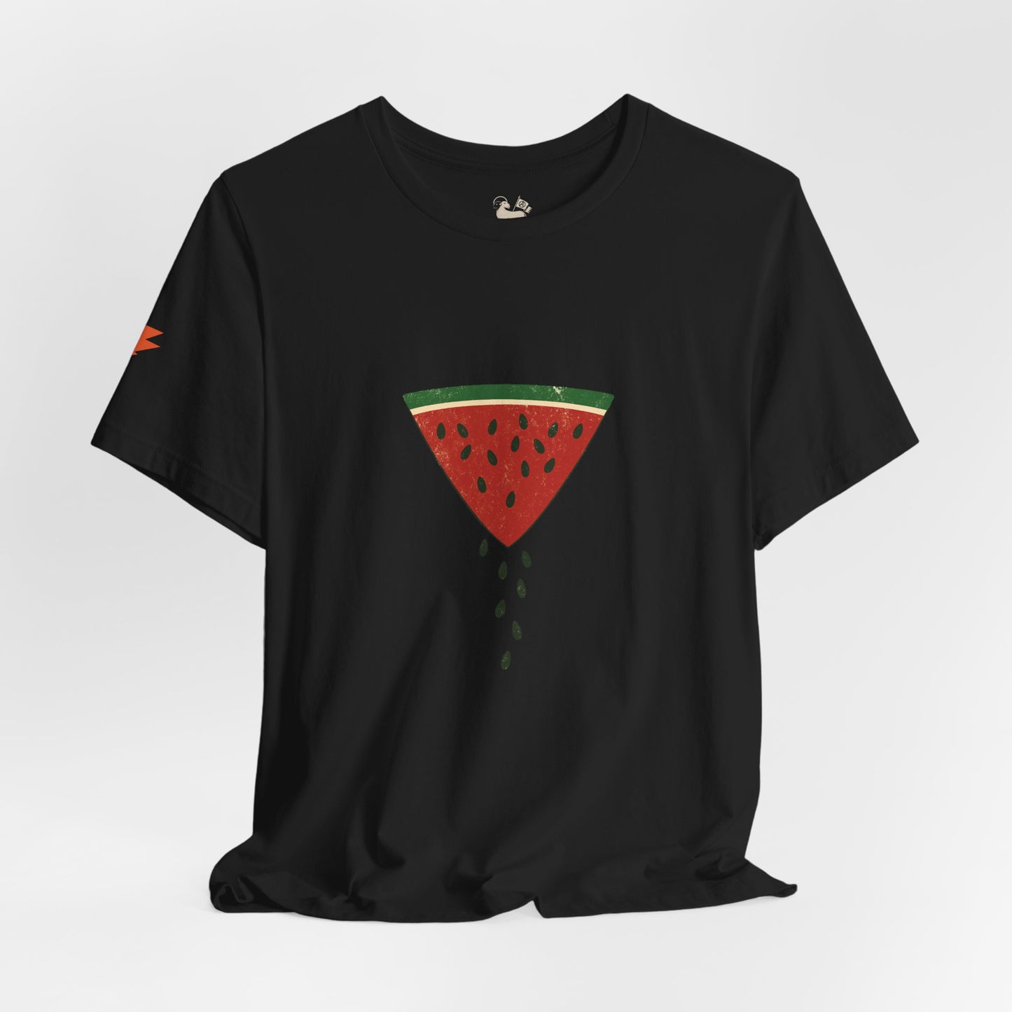 Watermelon Wedge / Falling Seeds | Distressed Print Tee